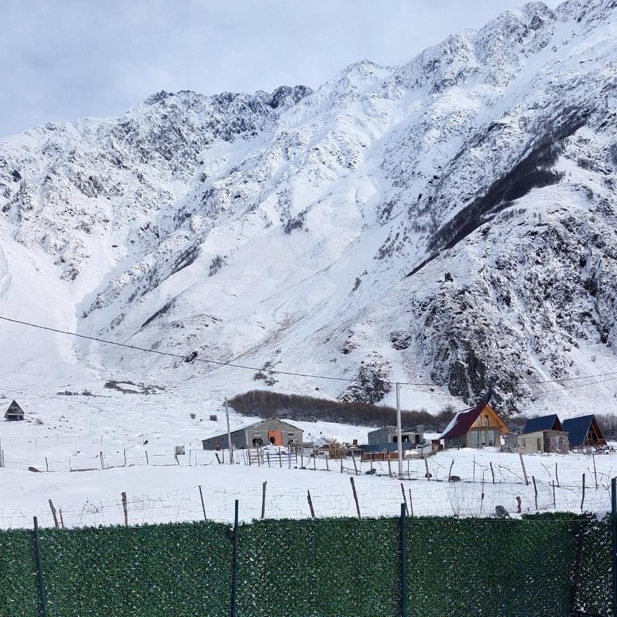 Mood Villa Kazbegi ภายนอก รูปภาพ